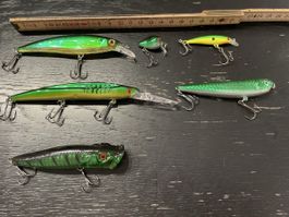 Köderset grün Hecht Zander Barsch Topwater stickbait wobbler