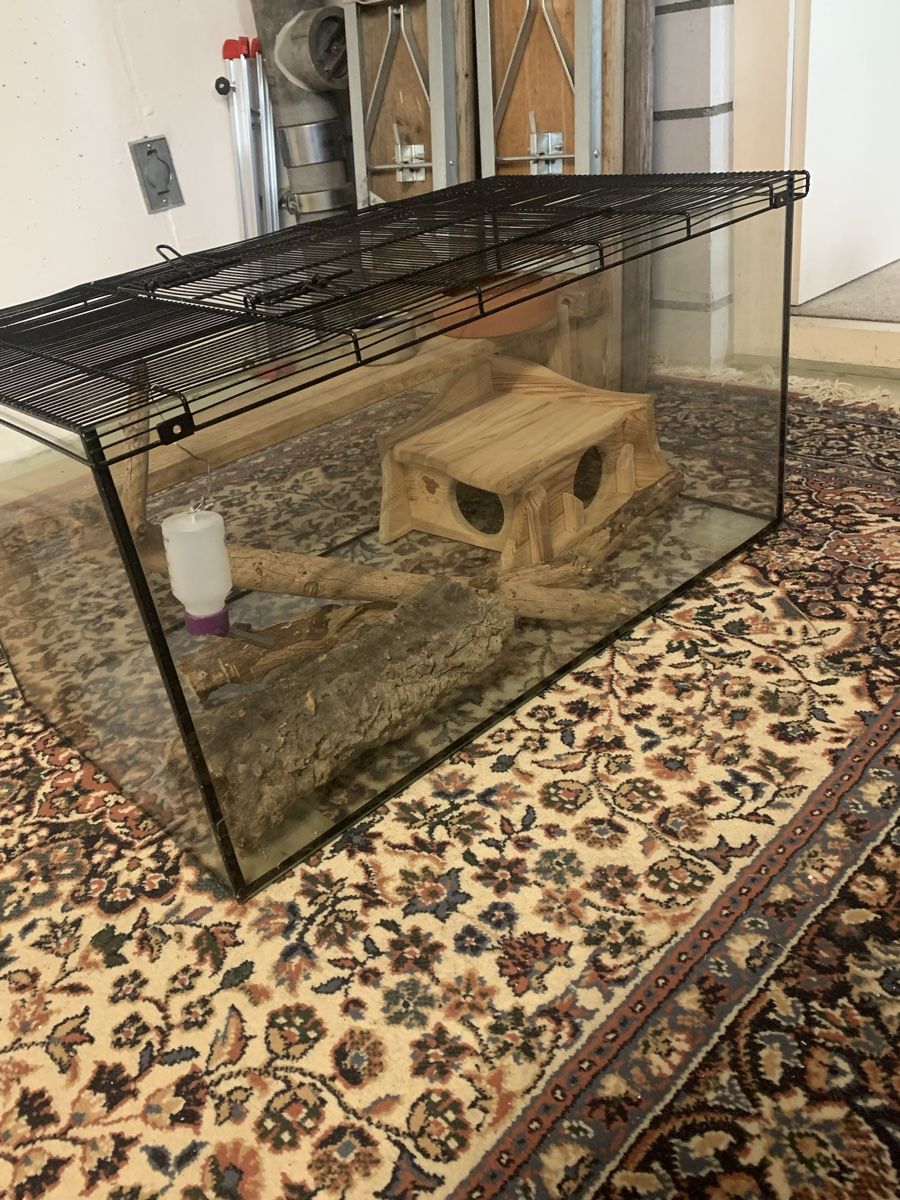 Terrario: Glasterrarium mit Gitterdeckel – Usato da Brugg AG venduto da Simone92
