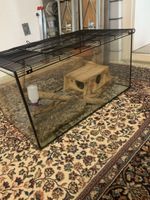 Glasterrarium mit Gitterdeckel