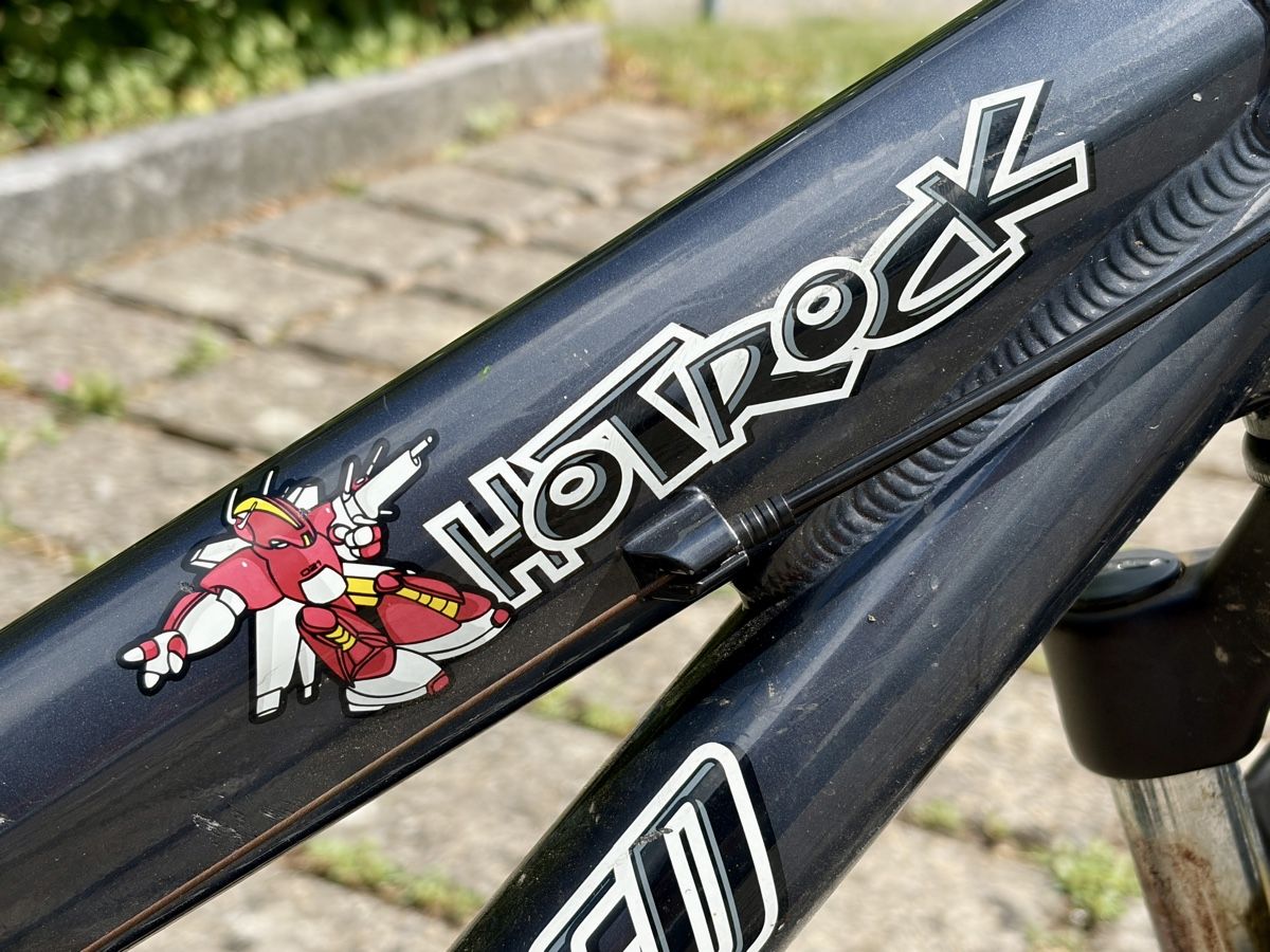 Specialized Biciclette: Specialized Hotrock Kindervelo / Kinderfahrrad – Usato da Horgen venduto da mph3000 5