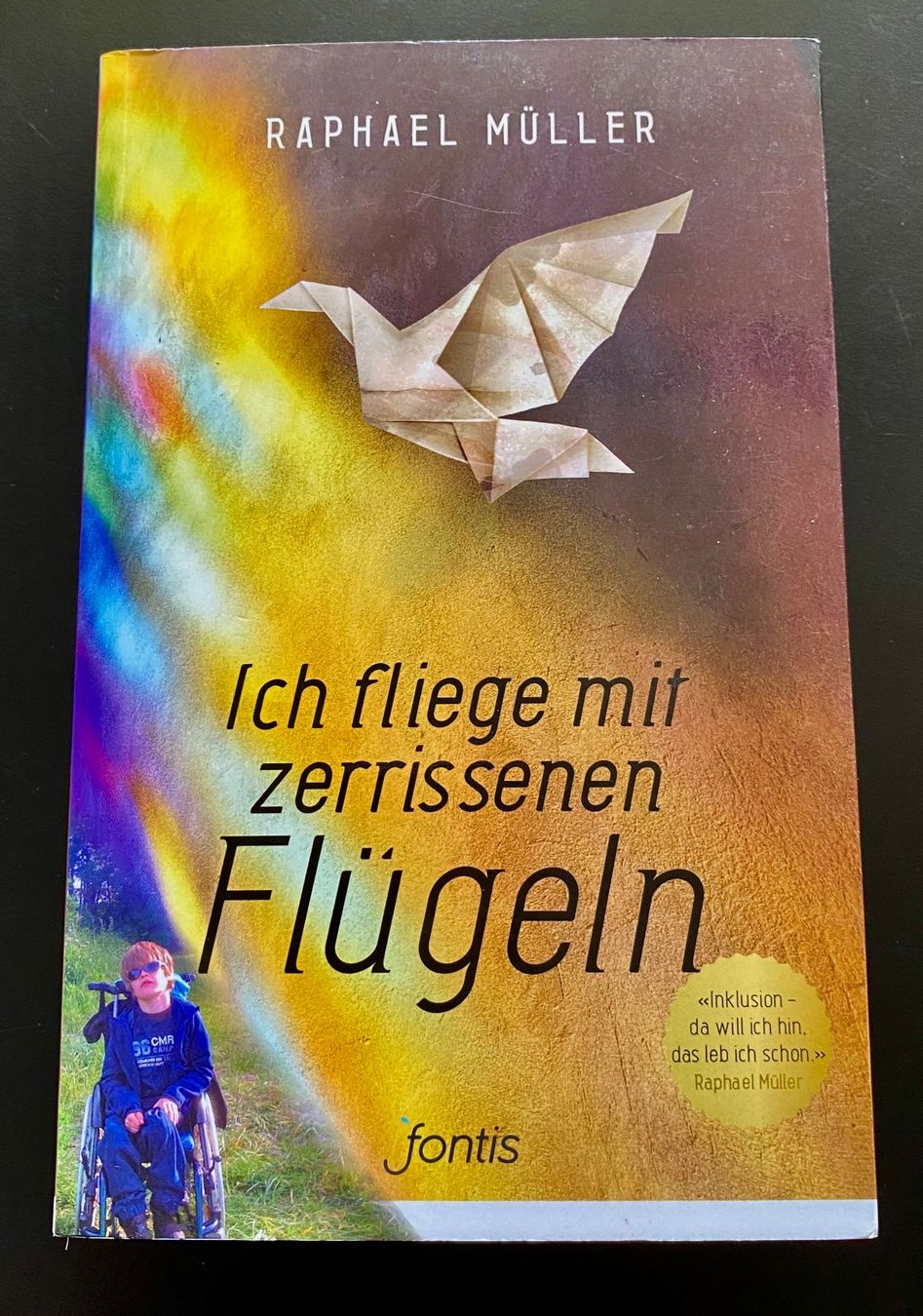 Libri: Ich fliege mit zerrissenen Flügeln / Raphael Müller – Usato da Nussbaumen AG venduto da schuba2000