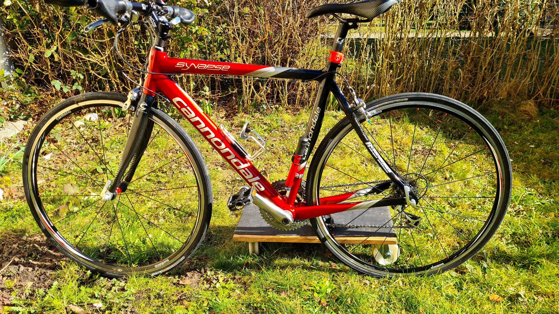 Cannondale Biciclette: Canondale Synopse Carbon 53cm – Usato da Uster venduto da bobnemet 1