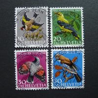 1996 PJ, Ersttag-Vollstempel, Vögel