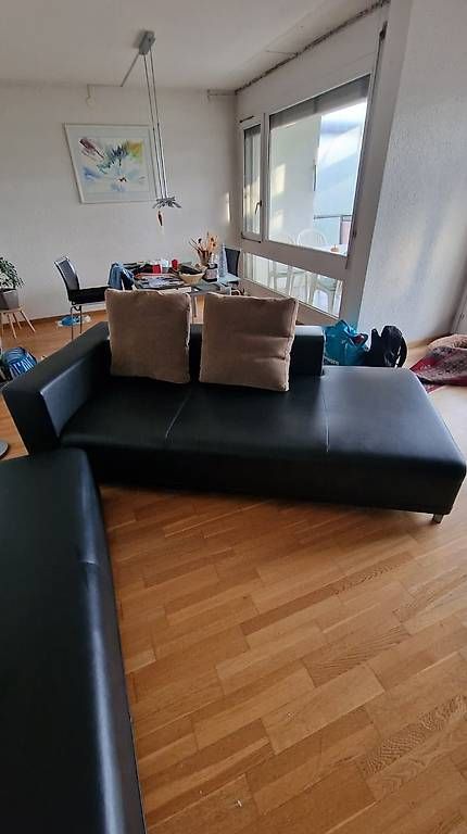 Ligne Roset Sofas: Ligne Roset OPIUM Eck-/Liegesofa aus Leder – Gebraucht aus Ostermundigen von fab_sfb7 2