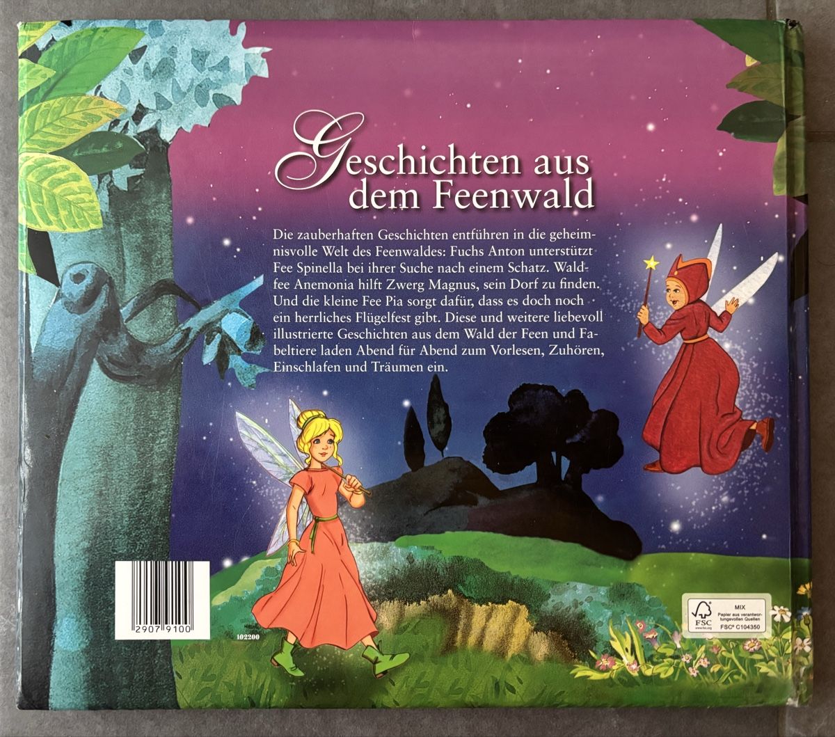 Libri: Märchenbuch "Geschichten aus dem Feenwald" – Usato da Herzogenbuchsee venduto da MoLa85 1