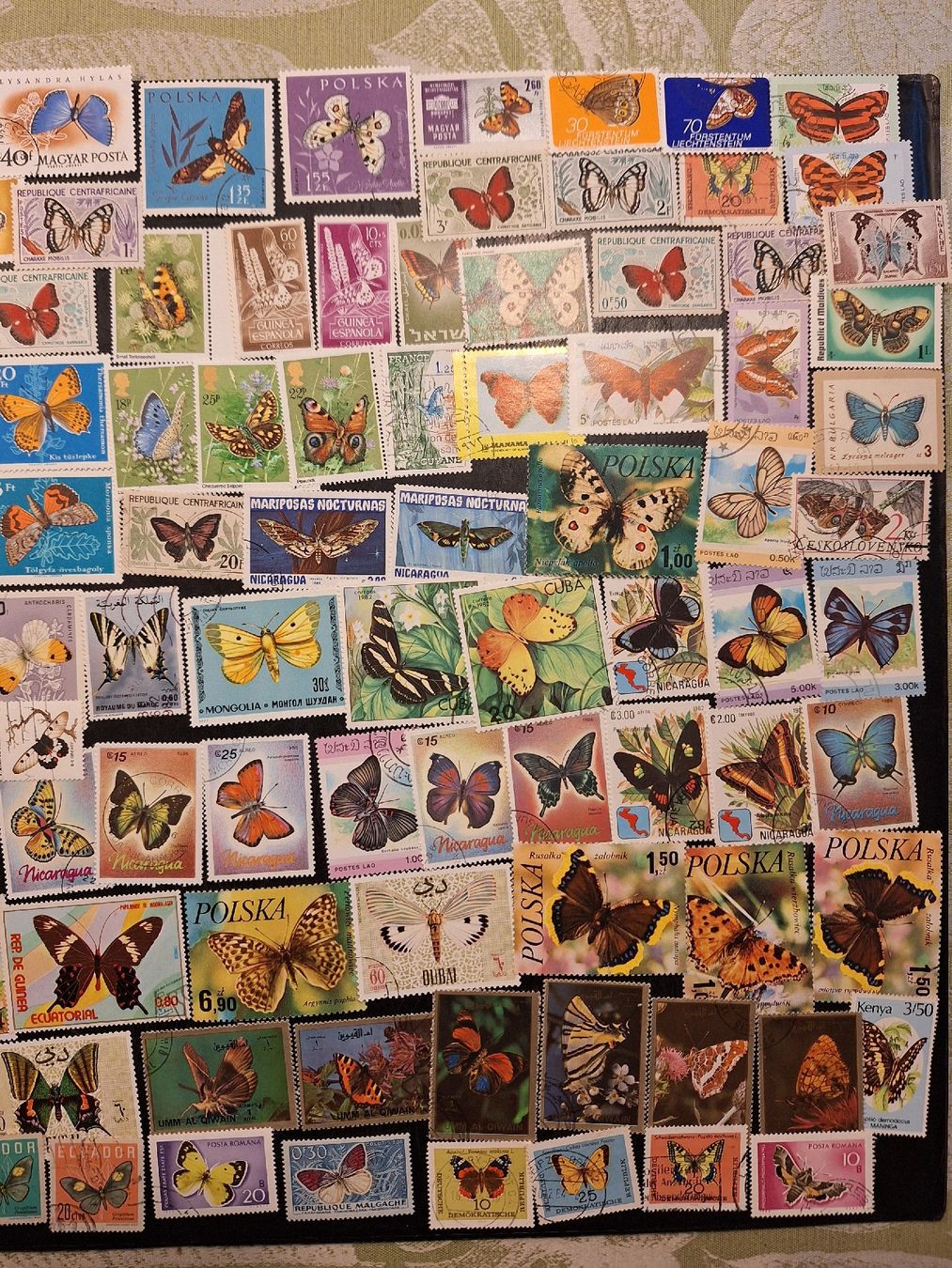 Tutti i francobolli: Schmetterlinge Briefmarken: schöne grosse Sammlung – Usato da Genolier venduto da Antoine30 6