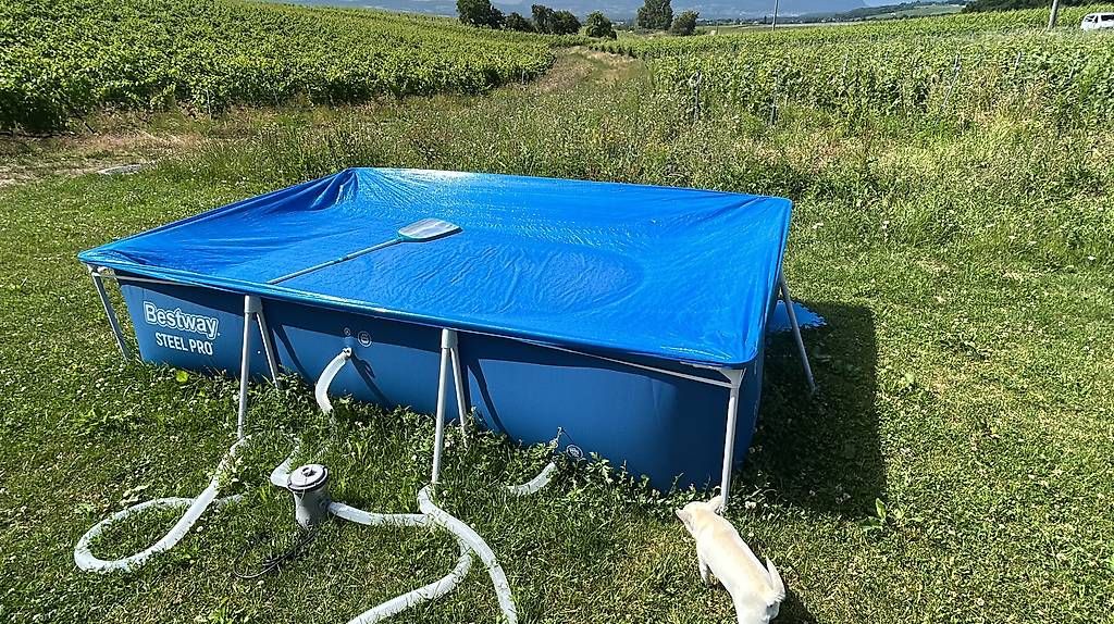 Piscine: Piscine BESTWAY 300x201x66 – Usato da Grand-Lancy venduto da Dsfo