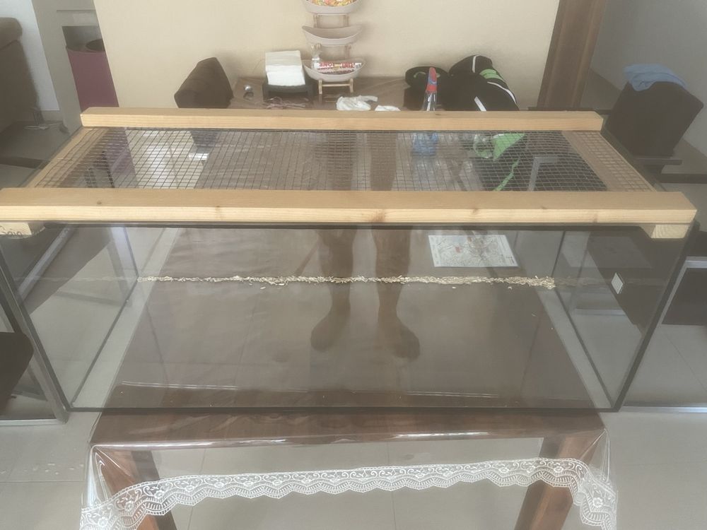 Terrarium aus Glas Kaufen auf Ricardo