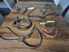 Nasenbänder, Kinnketten (Einzelabnahme möglich!)