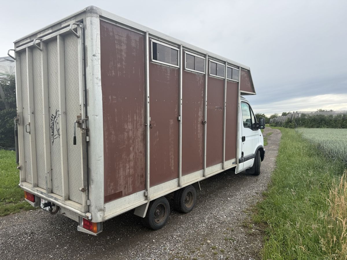 Renault Veicoli commerciali: Pferdetransporter Aufbau Scherz – Usato da Romanshorn venduto da fiber01 4