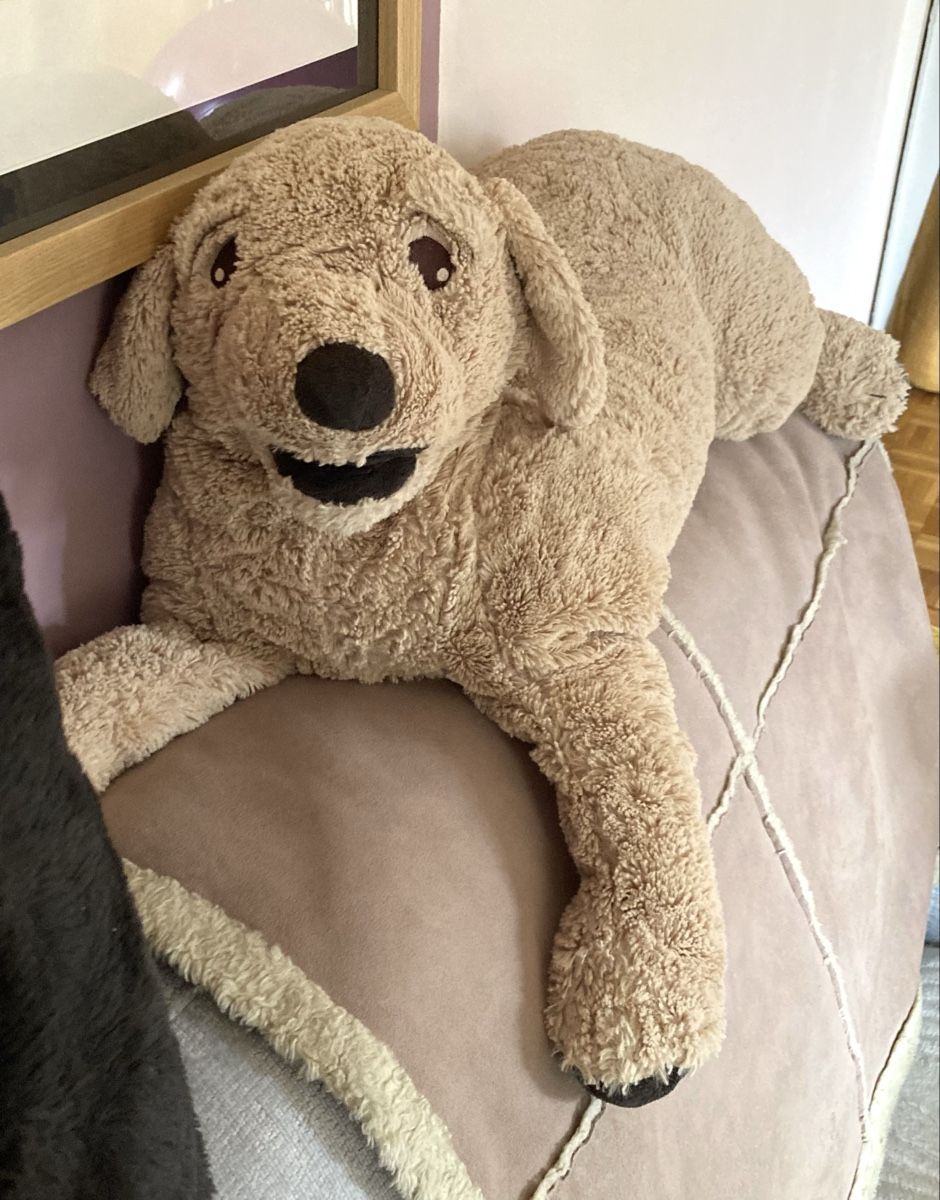 Ikea Giocattoli: Grande peluche chien tout doux – Nuovo (secondo la descrizione) da Ardon venduto da hel_2sxp 7