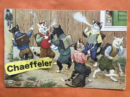 Vintage Ansichtskarte mit Katzen- Seltenes Sammlerstück!