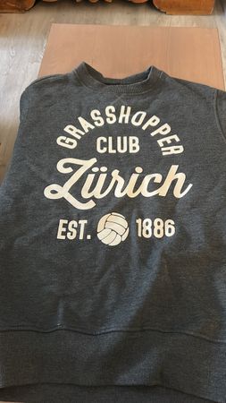 Grasshopper Club Zürich GCZ Sweatshirt Pullover EST. 1886 Gr