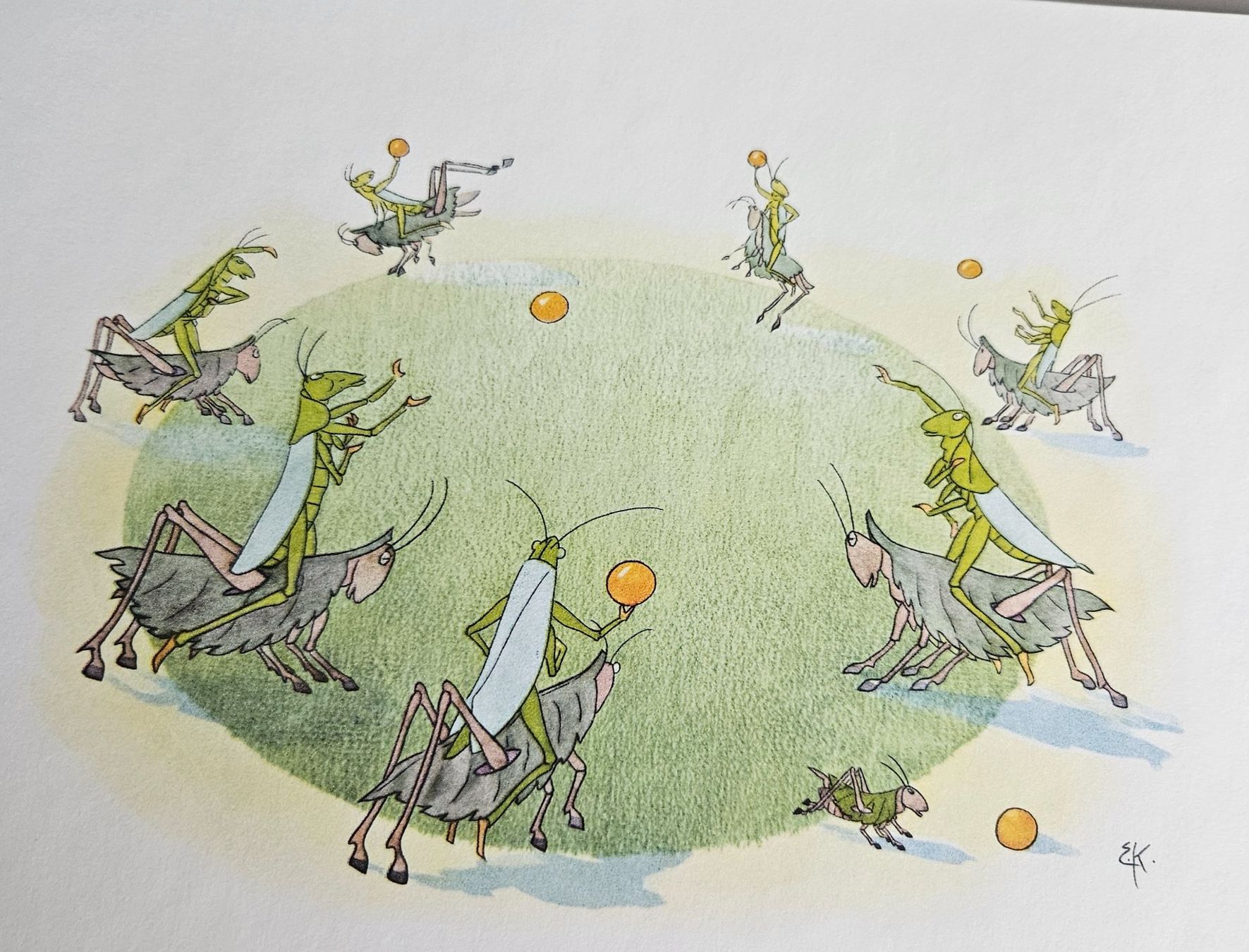 Libri: Kinderbuch Grashüpfer von Ernst Kreidolf – Nuovo (secondo la descrizione) da Uster venduto da Sonnenblume212 2