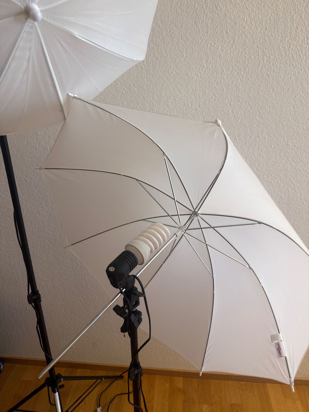 Lampade: 2er Set Fotostudio Licht Studioschirm Lampenstativ Softbox – Usato da Bern venduto da mura_shop 2