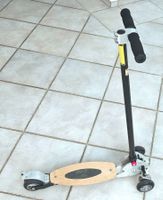 Das ORIGINAL - CIRO Kickboard - extrem robust & stabil