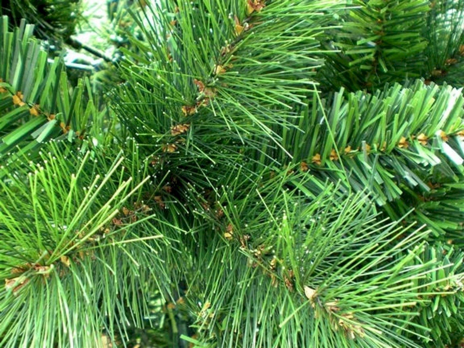 Alberi di Natale: HXT SLIM Weihnachtsbaum Höhe ca. 270cm – Nuovo e nell'imballaggio originale da Bottighofen venduto da zaap 2