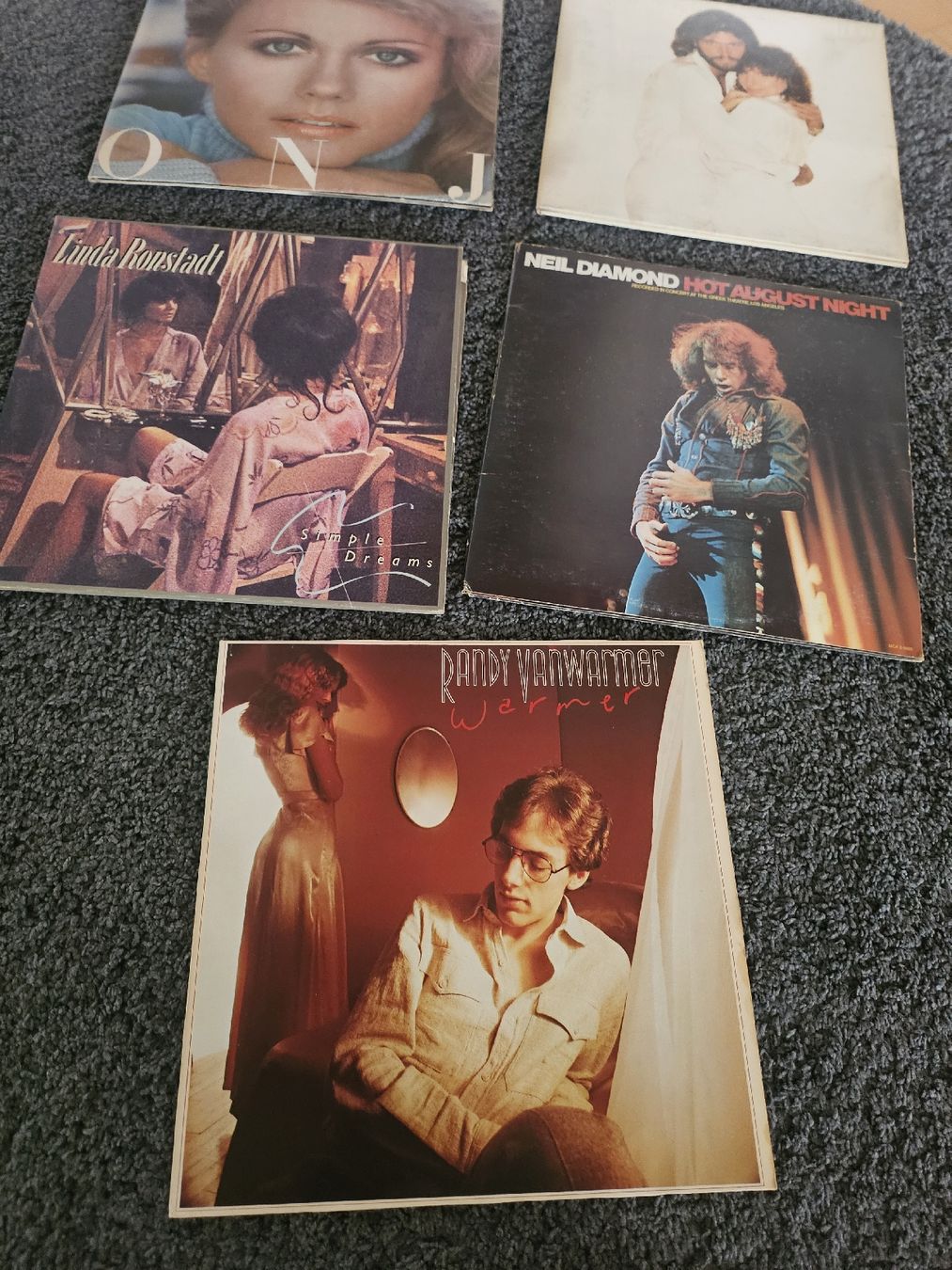Schallplatten: Schallplatten Sammlung 5 Stück  – Gebraucht aus St. Gallen von Cocos_Ricardo 1