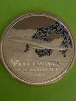 Luftwaffe Abzeichen Grosse médaille 70 mm neu vergoldet top