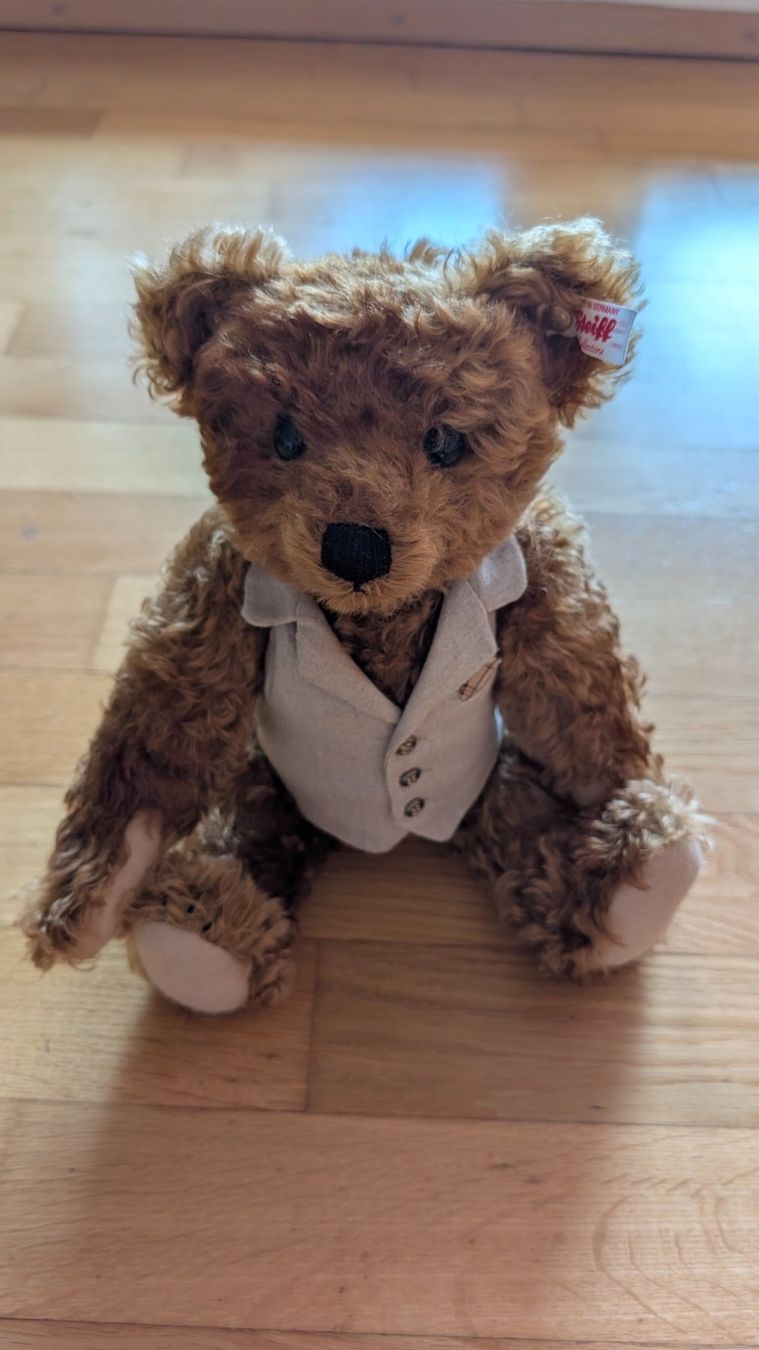 Giocattoli: Steiff Teddybär Limited Edition – Nuovo (secondo la descrizione) da Locarno venduto da antonioamato 1