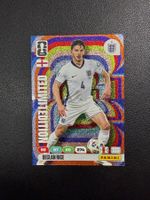 Panini FIFA World Cup 2026 Declan Rice Limited Edition