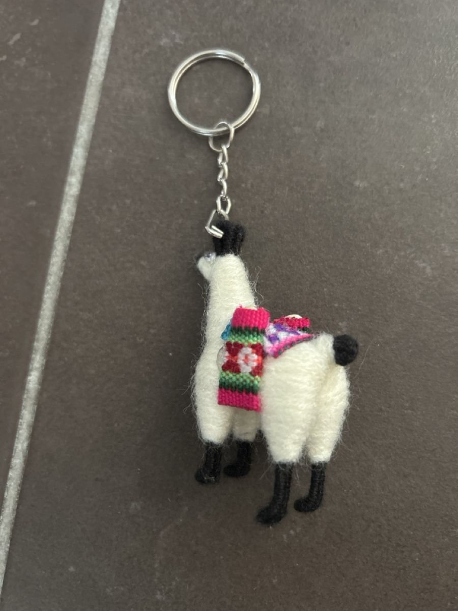 Portachiavi: Schlüsselanhänger Alpaca – Nuovo e nell'imballaggio originale da Winterthur venduto da Guizza93 2