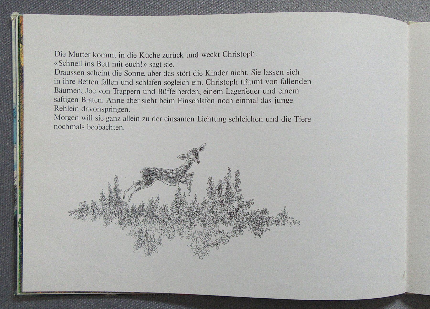 Libri: Pony-Ranch - Bilder von Paul Nussbaumer – Usato da Auenstein venduto da Padabimbim 7