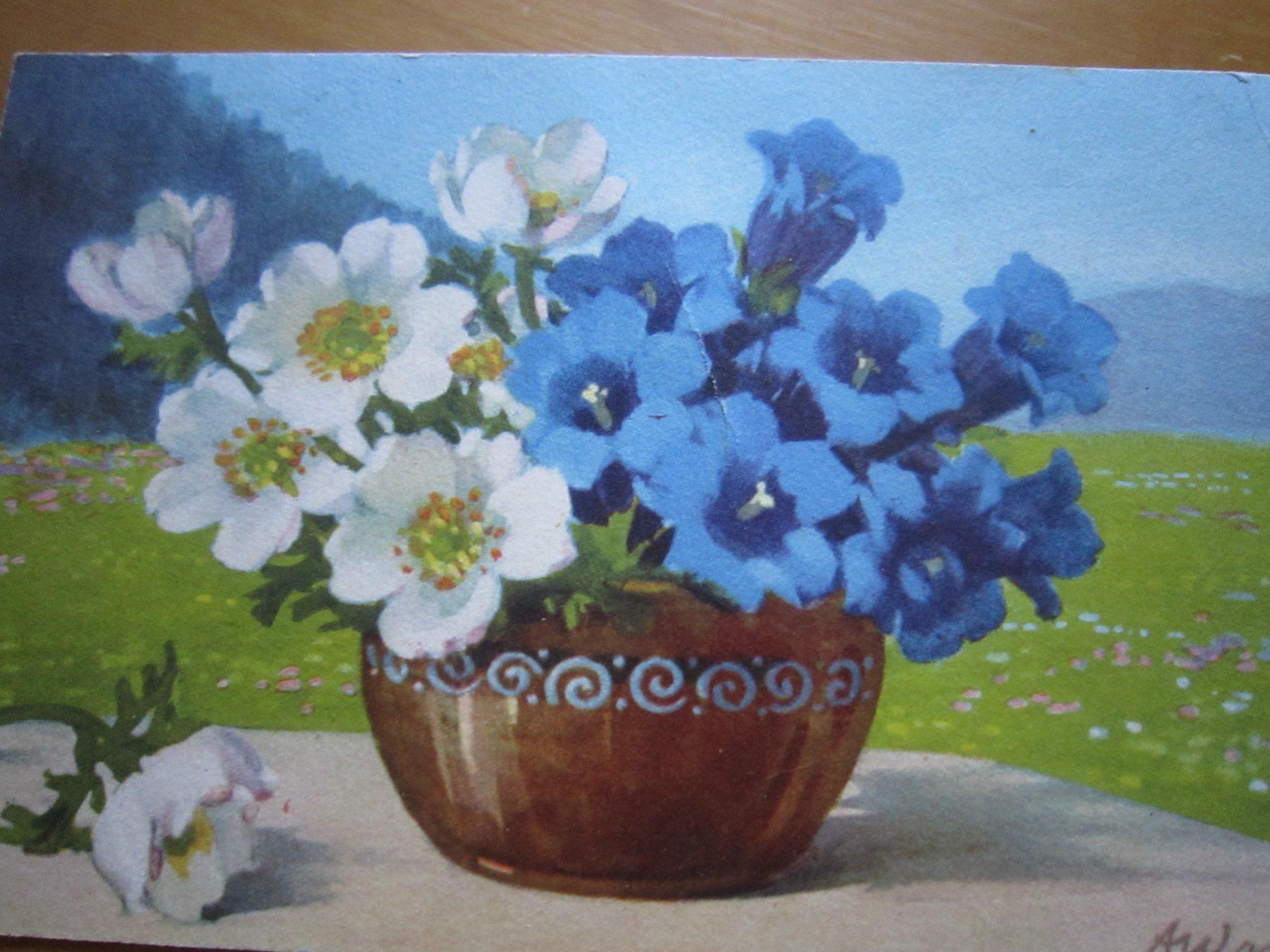 Cartes postales: No2 Postkarten Blumen ab 1927 – D'occasion à Gordola par Polentaefung 1