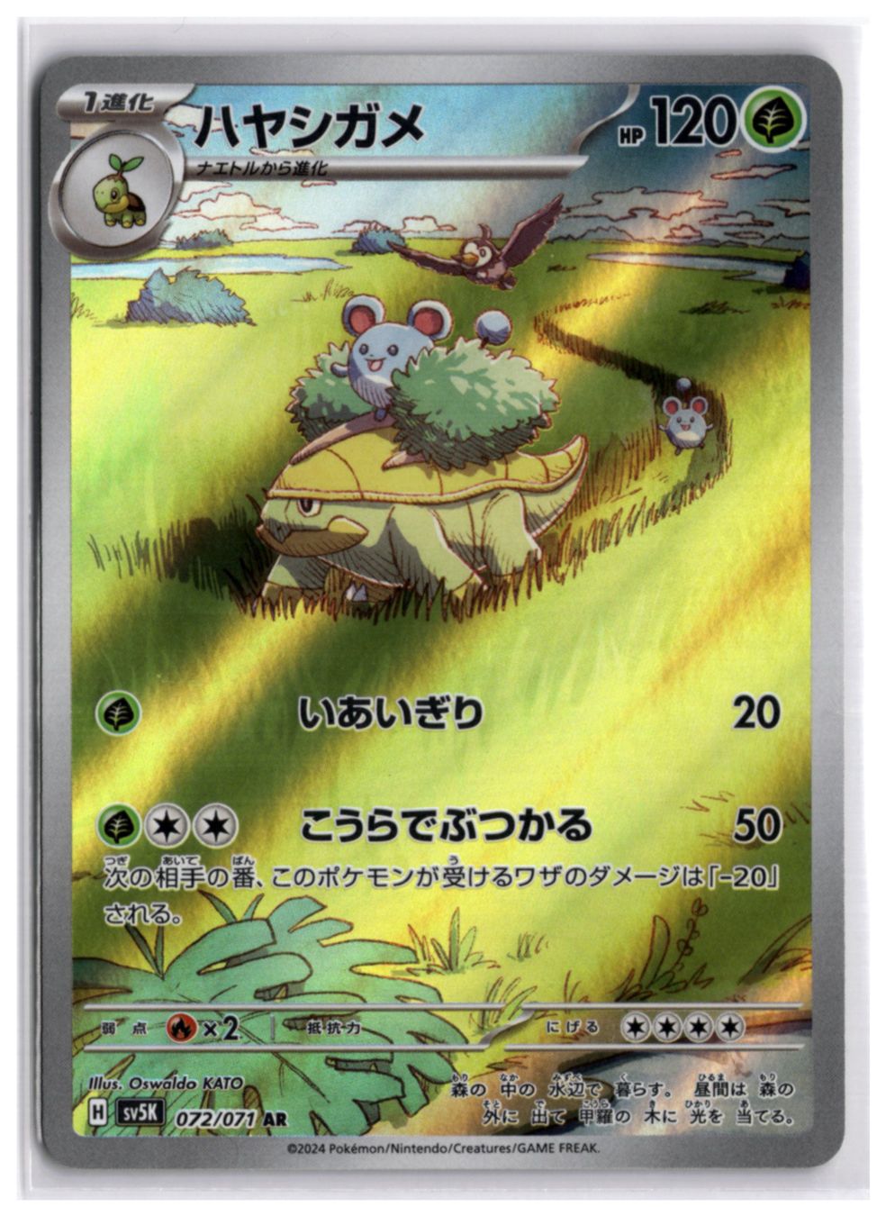 Pokémon Cartes à collectionner: Grotle (SV5K 072) AR – Neuf (Voir description) à Andwil TG par Artrarecards_Etter