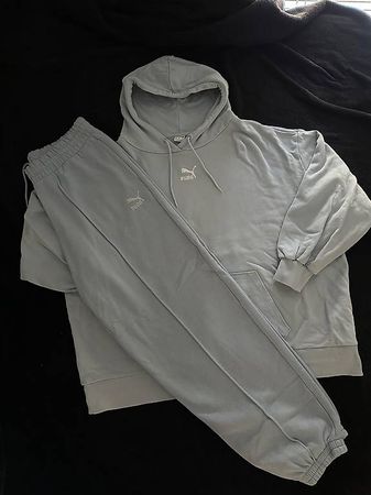 Ensemble Puma