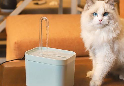 Mangimi: Automatischer Wasserspender – Nuovo e nell'imballaggio originale da Liestal venduto da OMAROSHOP