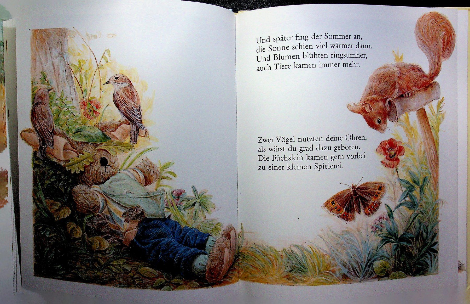 Bücher: Alison Catley Herr Hase war auf einmal weg! – Gebraucht aus Reitnau von Zaomir 4