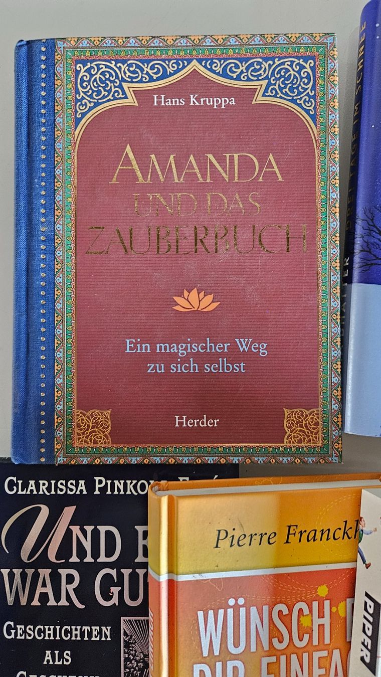 Libri: Thema Selbstfindung Buch Kombo – Usato da Basel venduto da True_Hofer_Store 1