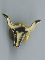 Plaketten & Abzeichen: Texas Longhorn Pin – Gebraucht aus Zürich von t24_de