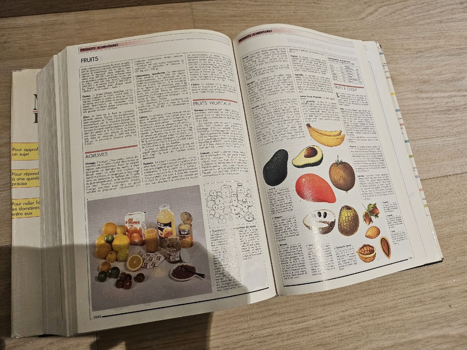 Libri: Encyclopédie Larousse illustrée 1990 vintage – Usato da La Joux FR venduto da car_ck96 6