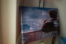 Canvas photography of a stork family on the roof of a house
