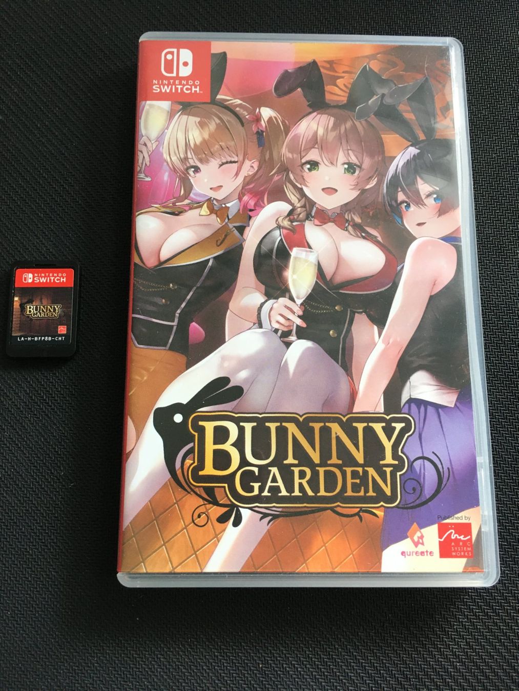 Nintendo Giochi: Bunny Garden für Nintendo Switch – Usato da St.Gallen venduto da sjosjo