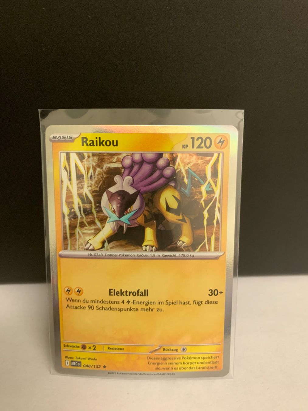 Pokémon Carte collezionabili: Raikou - Meg 048/132 : Mega Evolution Holofoil – Nuovo (secondo la descrizione) da Flawil venduto da Juventino93