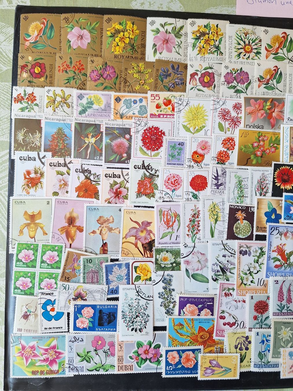 Tutti i francobolli: Grosse Blumen und Pflanzen-Sammlung – Usato da Genolier venduto da Antoine30 2