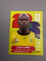 Panini Nkosinathi Sibisi RSA10