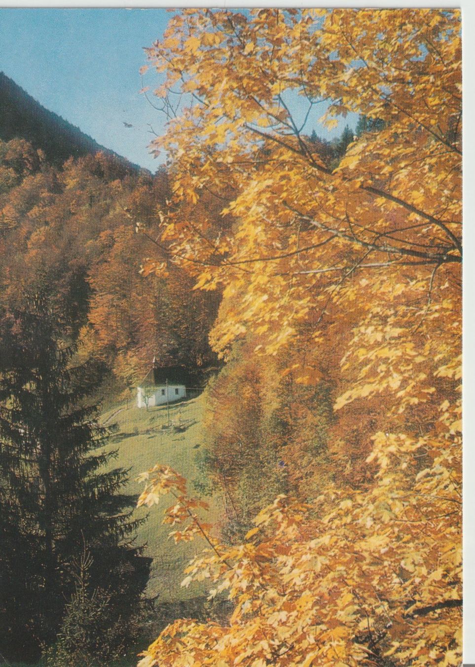 Cartes postales: P 23 Ranft, Sachseln, 1980 – D'occasion à Freienbach par Bhaltis