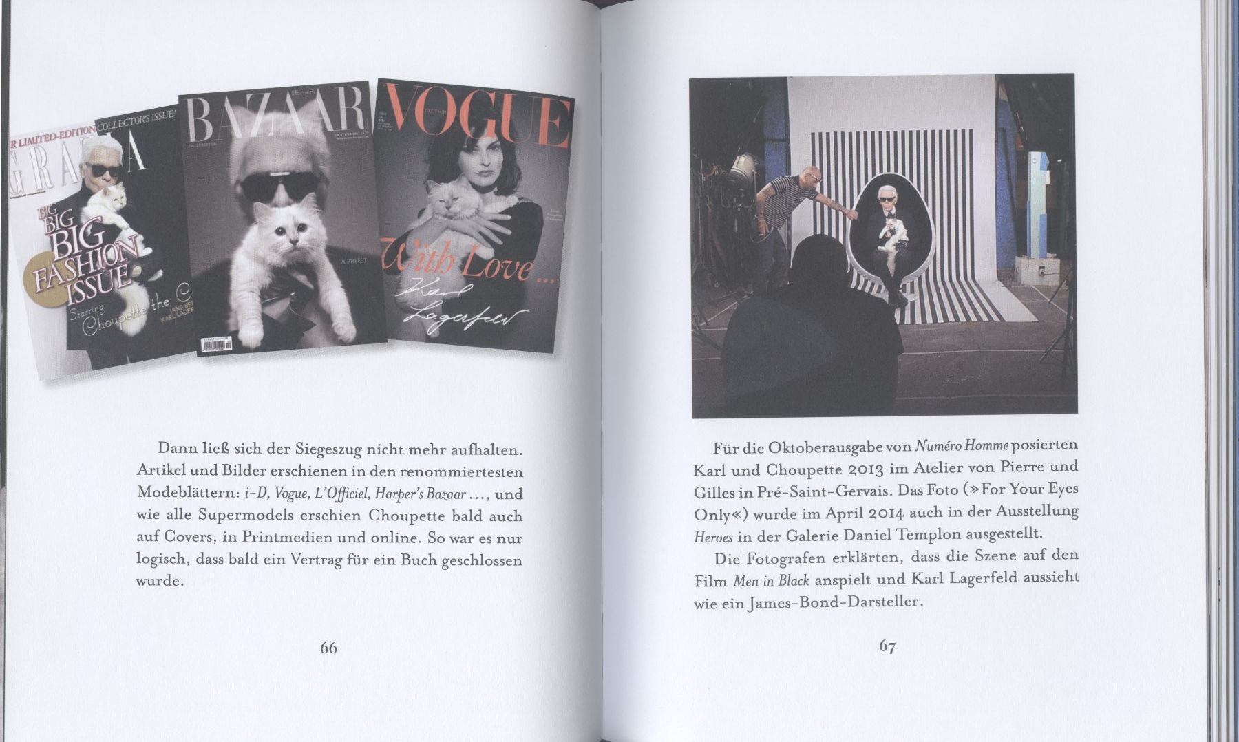Libri: KARL LAGERFELD und Katze CHOUPETTE – Usato da Biel/Bienne venduto da 07helios032 5