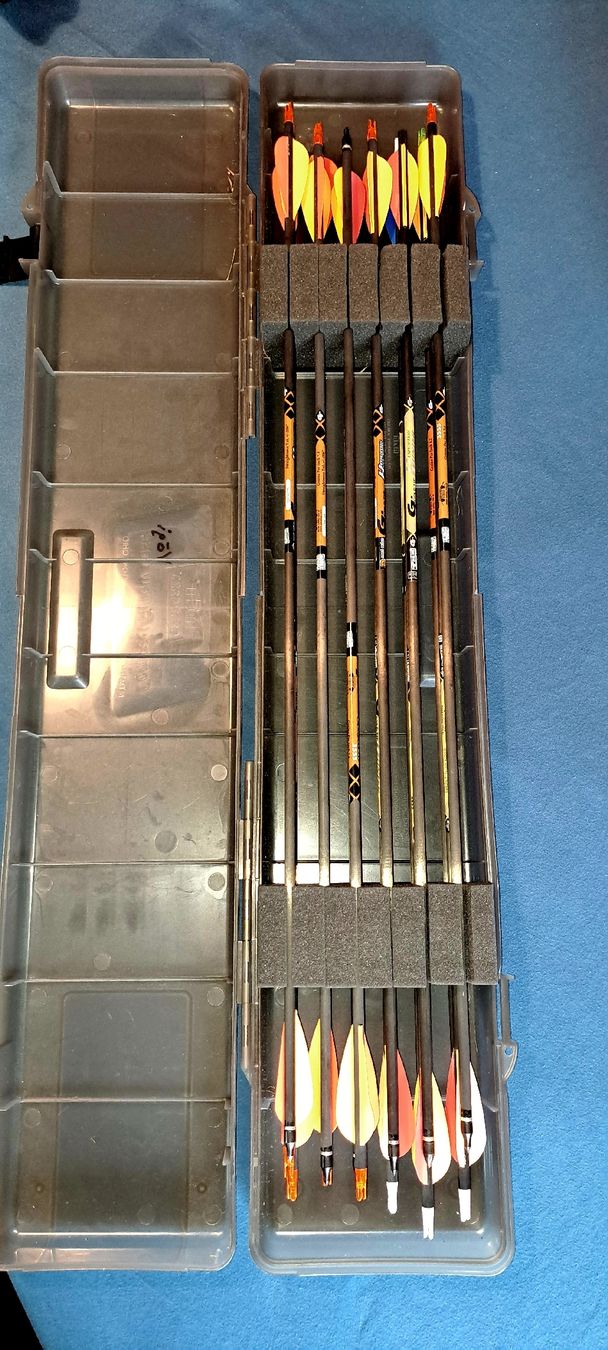 Bogenschiessen: Compoundbogen Bow Tech Invasion CPX black inkl. Zubehör – Gebraucht aus Dietikon von Voegi 4