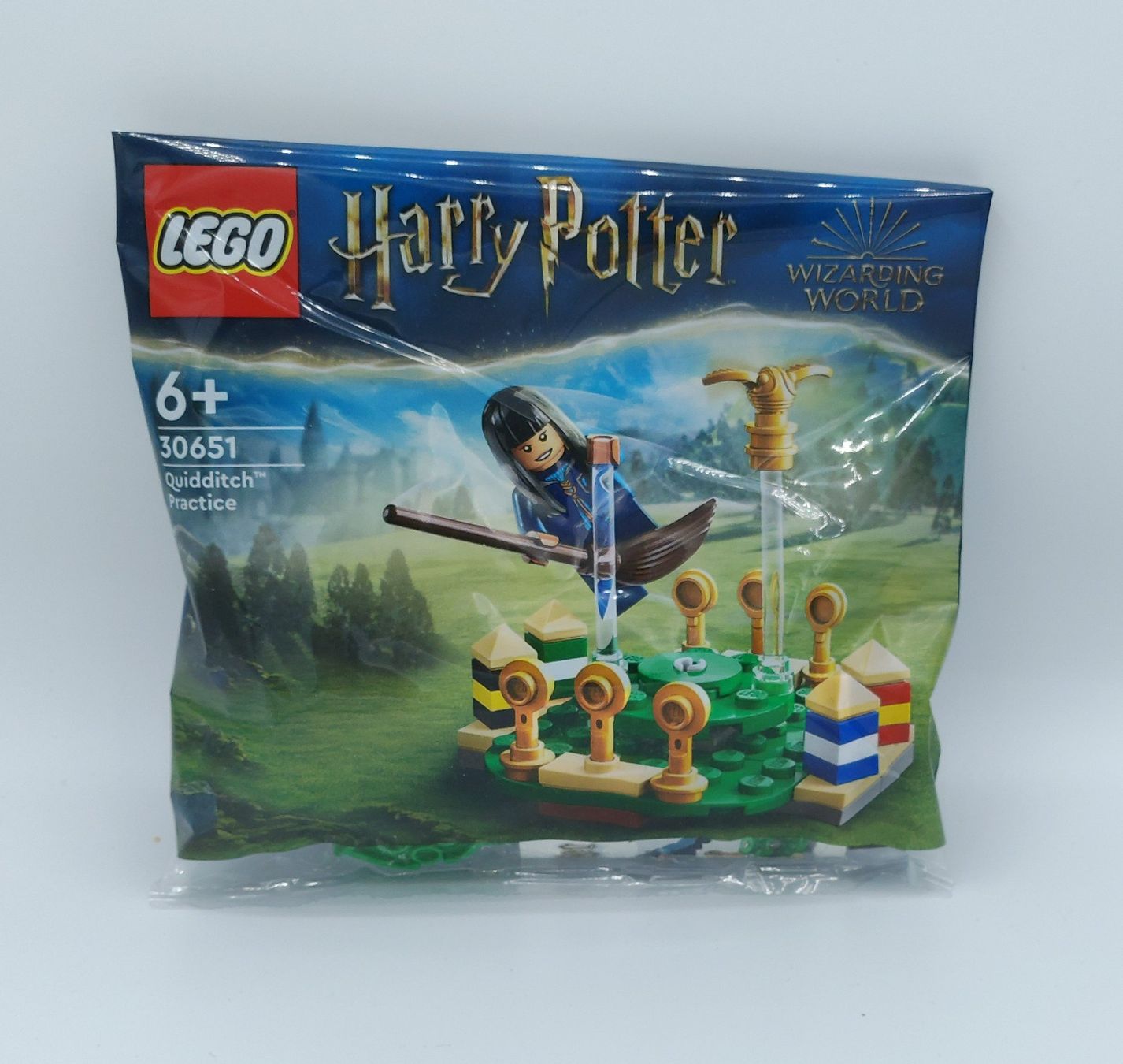 Lego Kit di costruzioni: LEGO Harry Potter 30651 Quidditch Training Polybag – Nuovo e nell'imballaggio originale da Schlatt TG venduto da AndrTra