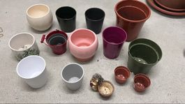 ab 1.-, Diverse Töpfe: Indoor & Outdoor 🌱🌸🌻