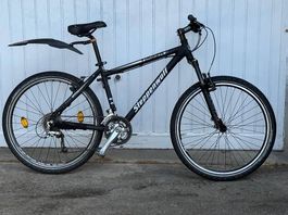 Mountainbike Hardtail der Marke Steppenwolf, Timber