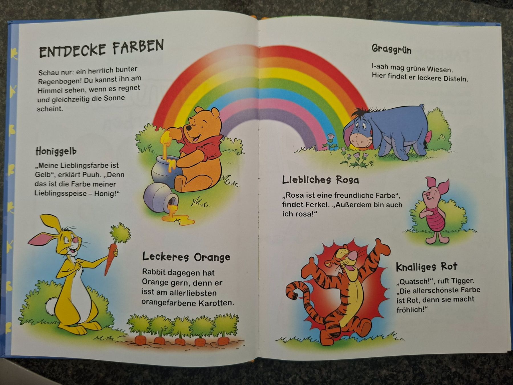 Libri: Winnie Puuh; Buch / Bilderbuch "Entdecke Farben" – Usato da Boniswil venduto da Totomat-Lady2 2