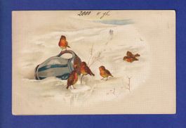 OISEAU - Rouges-Gorges