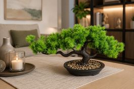 NEUER Deko Bonsai H:20 cm, L: 40 cm Kunstpflanze Zen im Topf