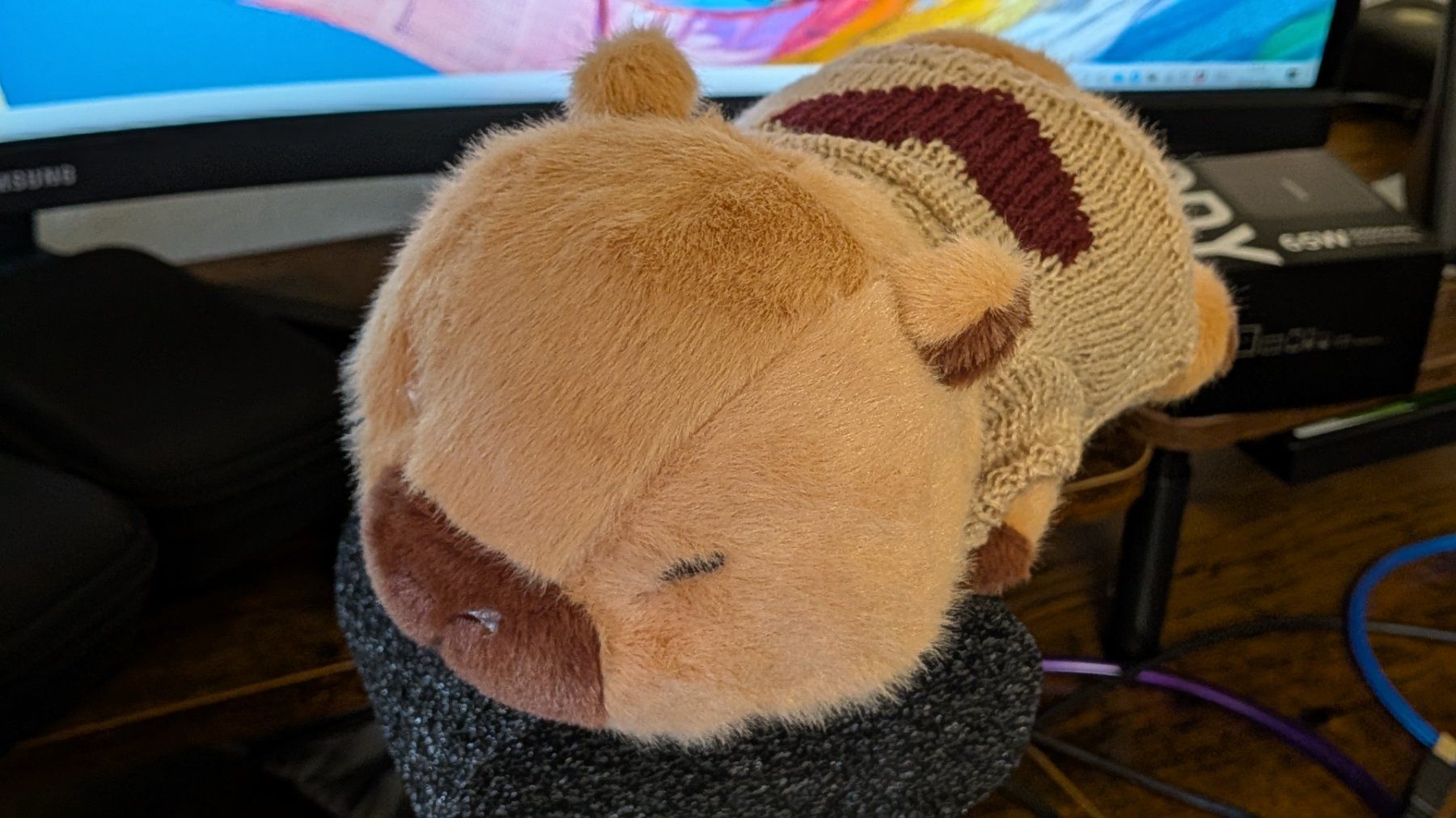 Giocattoli: Capybara Plüschtier mit Pullover  ++ neu und unbenutzt ++ – Nuovo e nell'imballaggio originale da Salez venduto da EMERCARO 5